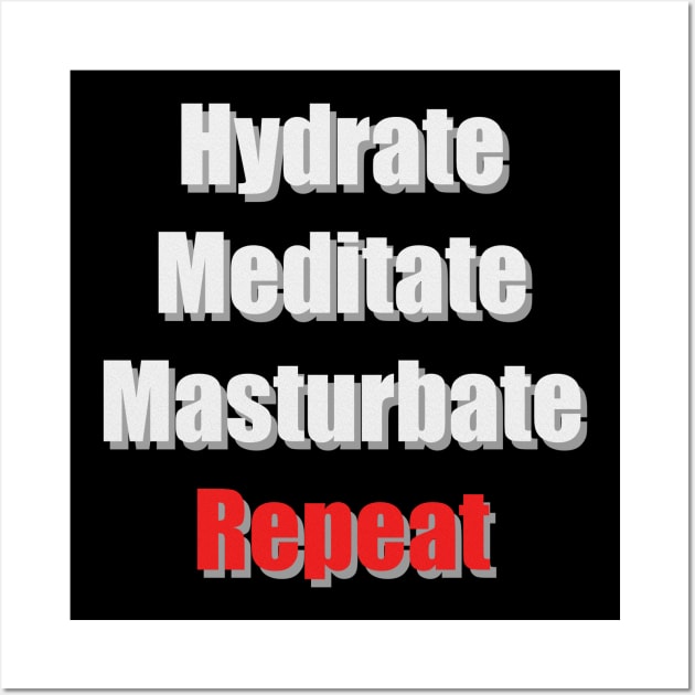 Hydrate Meditate Masturbate Repeat Wall Art by Illustrator Shirts